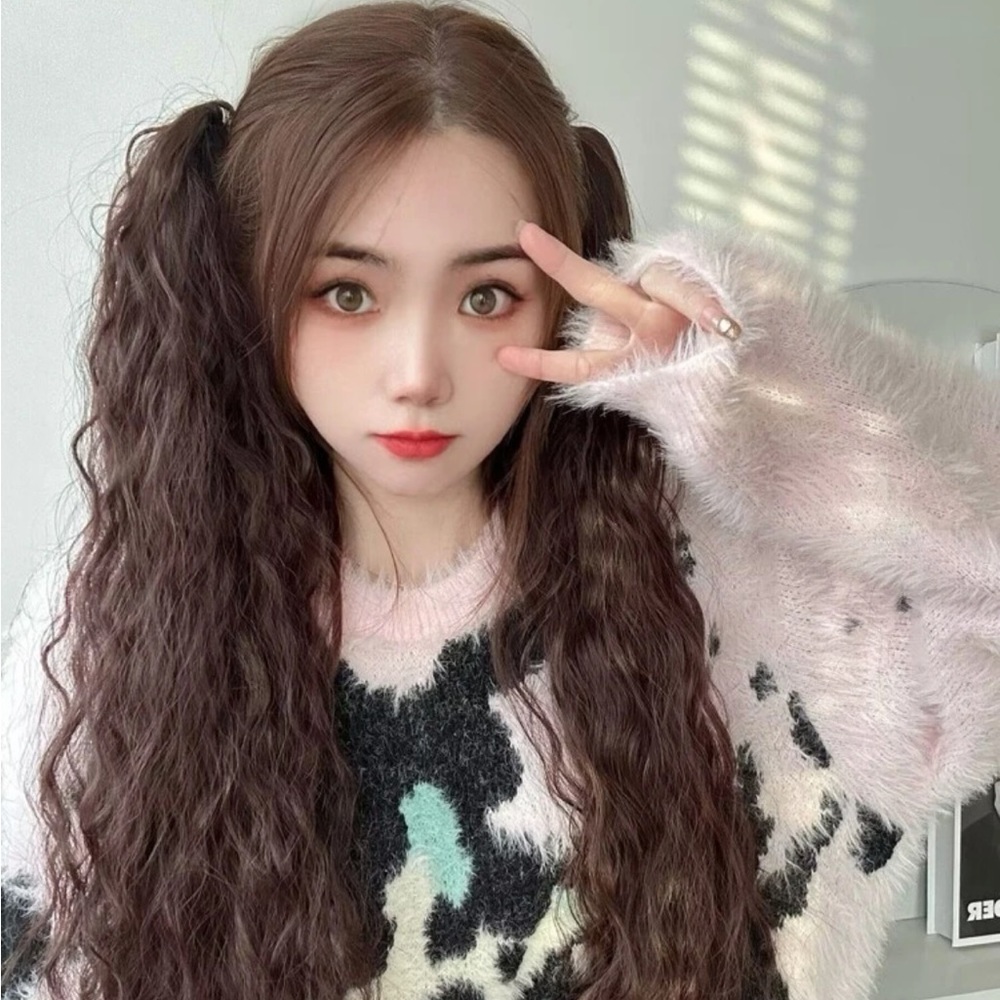 2 ponytail wigs